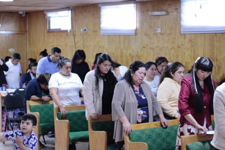 WhatsApp Image 2025-01-16 at 18.59.46