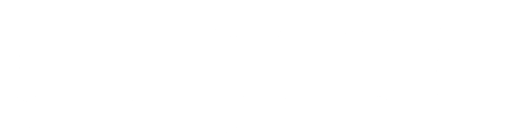 Logo IDS Blanco