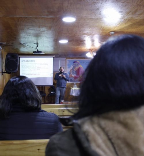 WhatsApp Image 2025-01-16 at 18.59.15