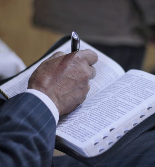 WhatsApp Image 2025-01-16 at 19.11.32 (1)